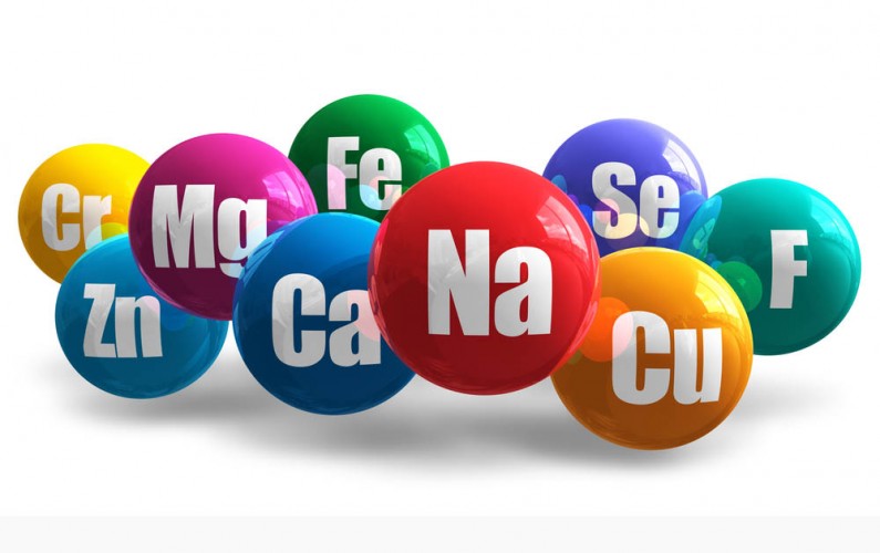 liste des micronutriments